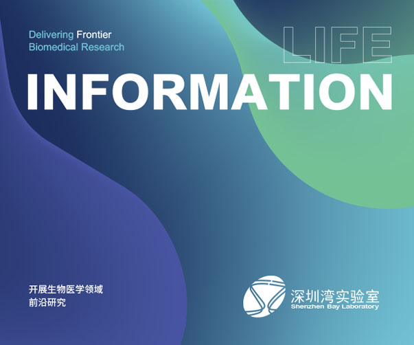 品牌戰(zhàn)略設(shè)計(jì)公司：企業(yè)IPO的強(qiáng)大助力